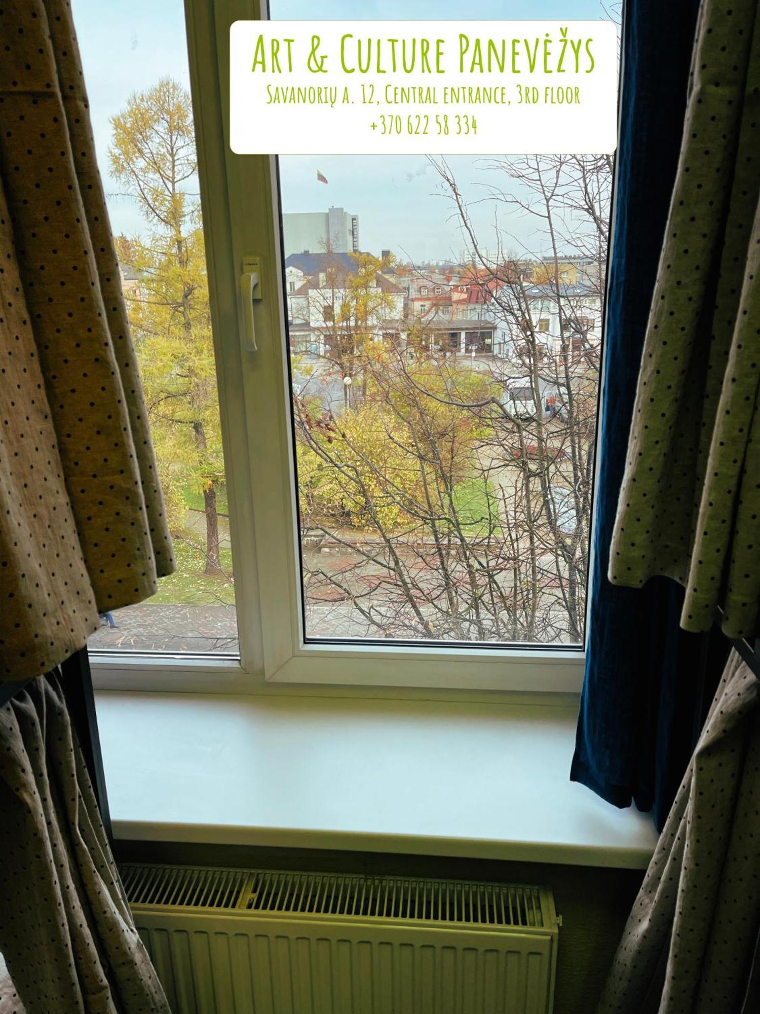 Art & Culture Panevezys Hostel Kültér fotó